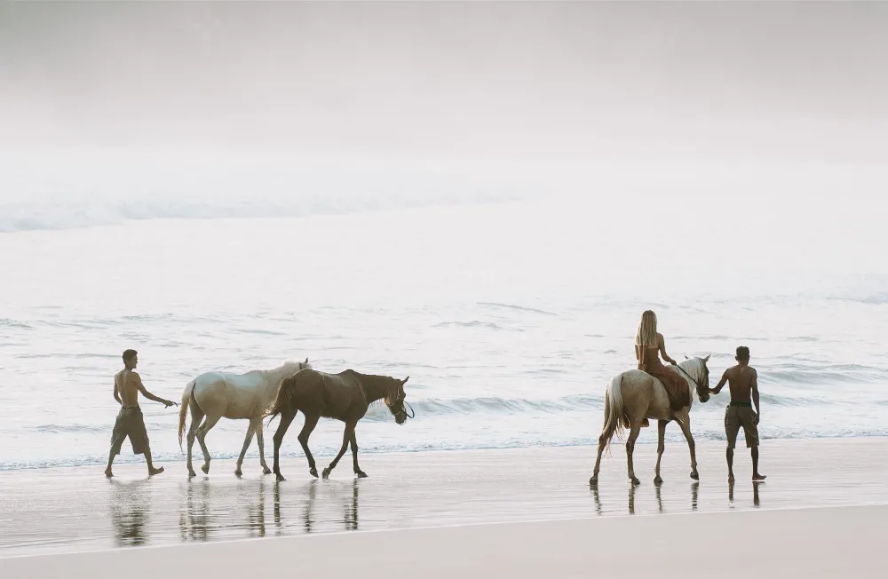 The Sanubari - Image 24