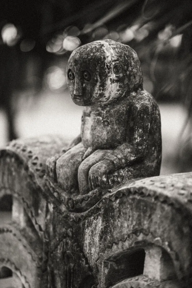 The Sanubari - Image 30