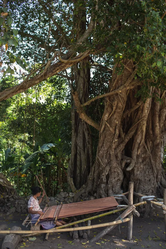 The Sanubari - Image 32