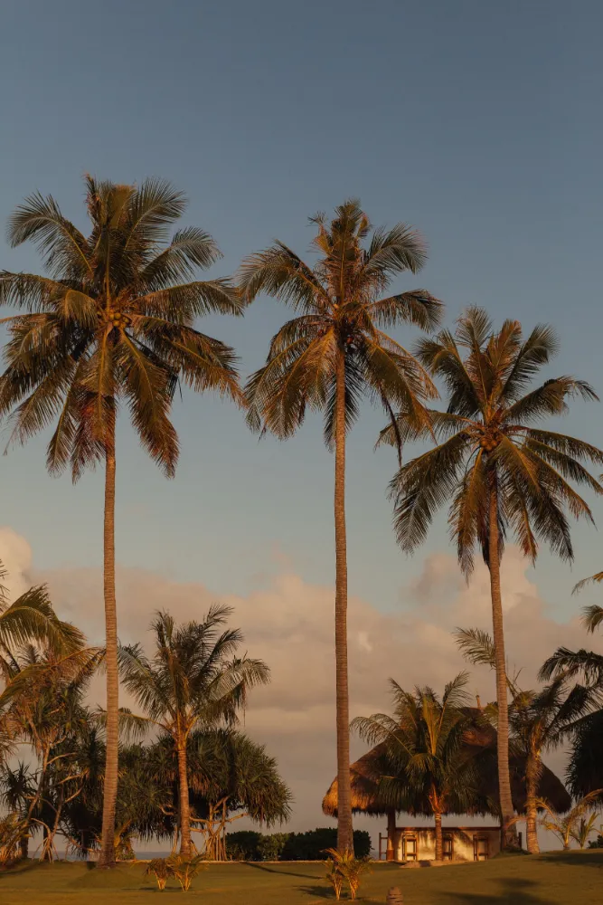 The Sanubari - Image 35