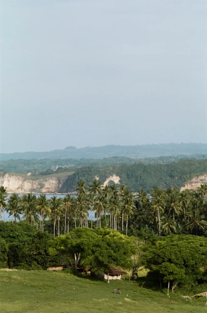 The Sanubari - Image 45