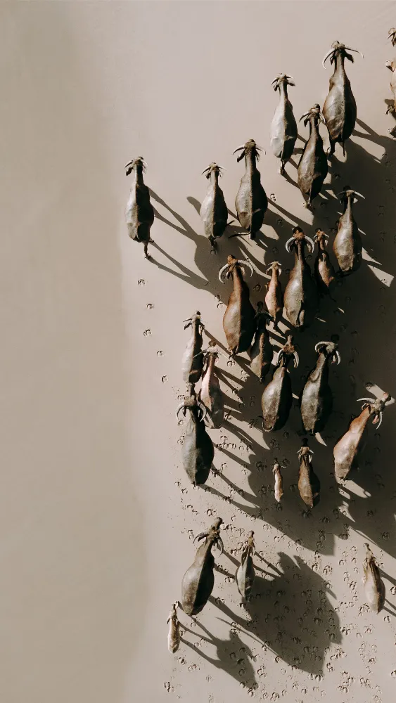 The Sanubari - Image 52