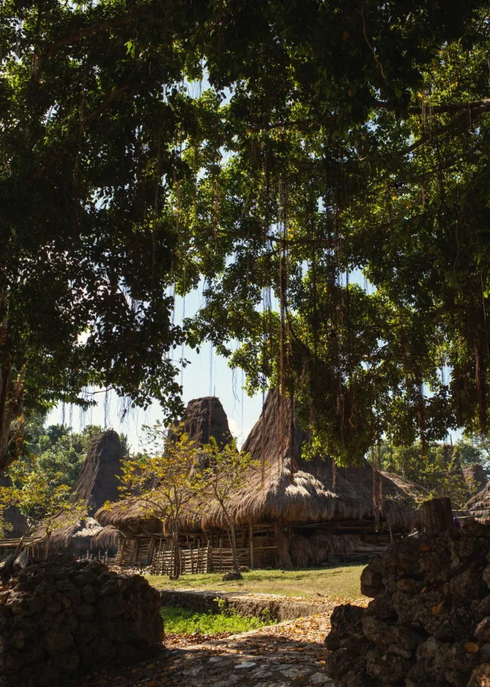 The Sanubari - Image 14